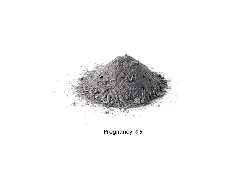 Pregnacy5